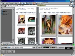 Select desired Images to download with the right Mousekey