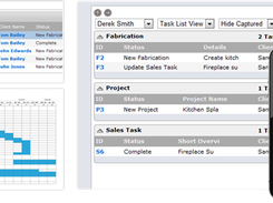 Insight Business Management Screenshot 1