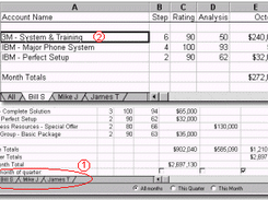Insight for Sales Strategy Screenshot 2