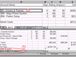 Insight for Sales Strategy Screenshot 1