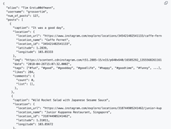 instagram-profilecrawl Screenshot 1