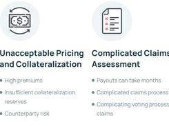 Insured Finance Screenshot 3