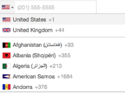 International Telephone Input Screenshot 1