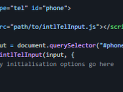 International Telephone Input Screenshot 2