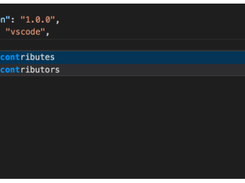 IntelliSense Screenshot 1