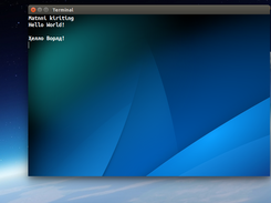 Internation Screenshot 2