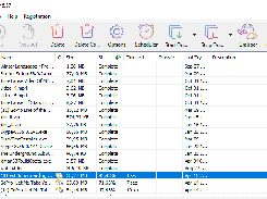 Internet Download Manager Screenshot 3