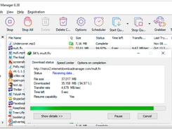 Internet Download Manager Screenshot 1