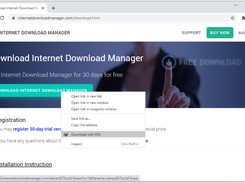 Internet Download Manager Screenshot 3