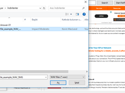 Internet Getter Pro Screenshot 2