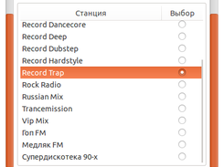 RadioPlayer