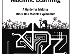 Interpretable machine learning Screenshot 1
