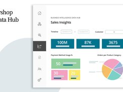 Intershop BI Data Hub