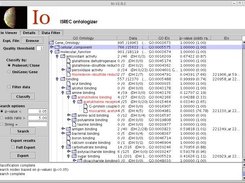 io-1.0.1 Io Viewer window
