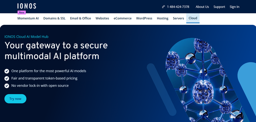 IONOS Cloud AI Model Hub Screenshot 1