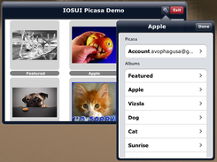 iOSUI Demo