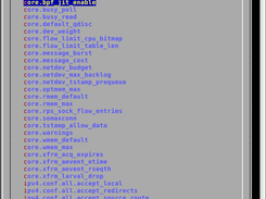 Interactive mode - sysctl rule file builder