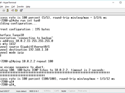 first ping across IPIP-SLiRP