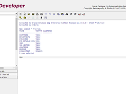 iPL/SQL Developer V2.2.0.1202