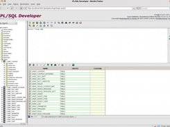 iPL/SQL Developer V1.1.0.0718