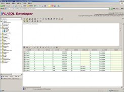 iPL/SQL Developer V1.1.1.1218_1