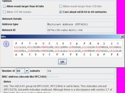 Bitwise view with extended multicast decoding in background.