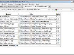 HTML Report