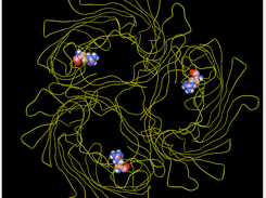 A Membrane Protein (1A0S)