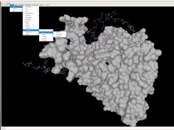 DNA binding protein