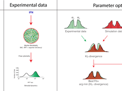 Fitting stochastic dynamics