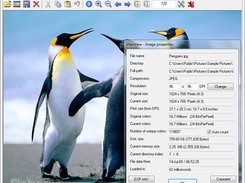 IrfanView Screenshot 1