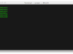 Terminal Output