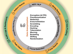 IRI Data Protector Suite Software - FieldShield, CellShield, DarkShield