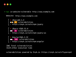 Is Website Vulnerable Screenshot 1