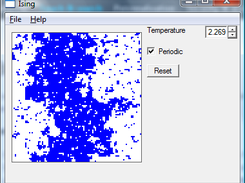 Ising model at critical temperature