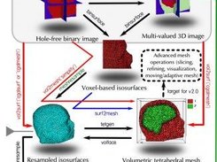 iso2mesh data workflow