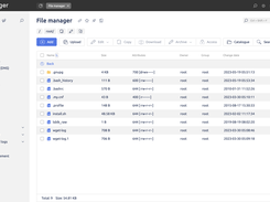 File Manager