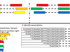 Schematic diagram of the ISVASE software