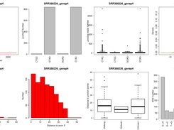The characteristics of SVASEs identified in all splicing events of SRR388226 data