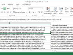 Customer file after hashing several fields with SHA384.