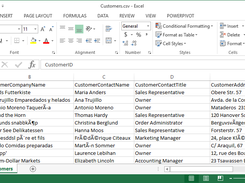 Original customer file before processing.