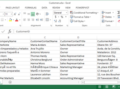 Example customer file data.
