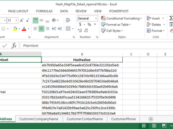 Detailed "map file" with a separate spreadsheet tab for each field processed.