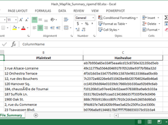 Summary "map file" showing the field names and their associated plaintext and hashed values after RIPEMD 160 processing.