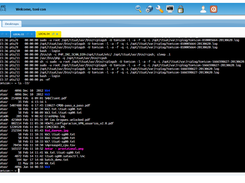 console manager