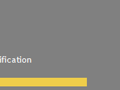 IDEA Notification