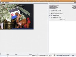 jScale Main Window with Image Loaded