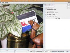 jScale Main Window with Image Scaled
