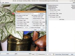 jScale Batch Image Scaling Dialog