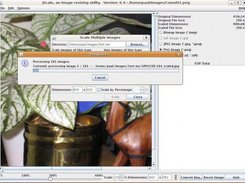 jScale Batch Image Scaling